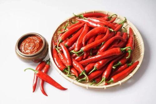 吃瓜少女做辣条视频大全,吃瓜少女带你领略辣条视频盛宴