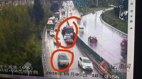 监控下拍到的吃瓜群众视频