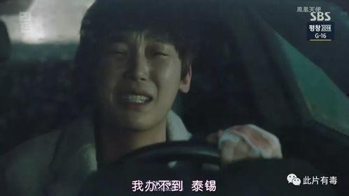 流星韩剧双星吃瓜视频大全,揭秘双星甜蜜互动，吃瓜视频大盘点