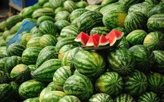 微山县吃瓜事件真相视频,揭秘真相背后的惊人内幕