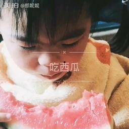 宝莉吃瓜视频大全集,揭秘娱乐圈幕后故事