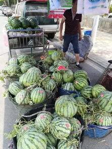 保亭吃瓜事件视频最新