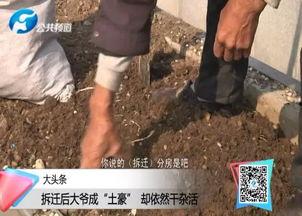 美国大爷拆迁吃瓜视频大全,一场跨洋的“围观”盛宴