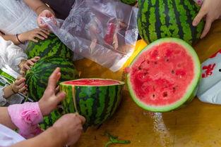 吃瓜视频锦集,盘点娱乐圈那些事儿