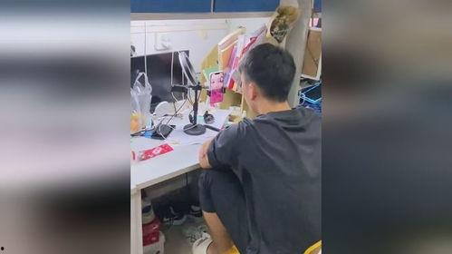 宿舍吃瓜视频bgm,背景音乐带你领略青春旋律