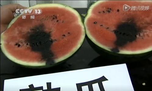 吃瓜发声的视频叫什么