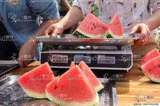 山东山东曹县吃瓜视频