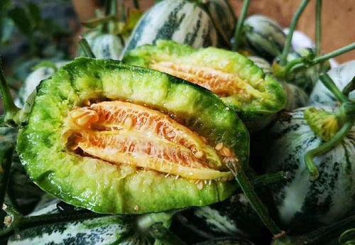 山东山东曹县吃瓜视频