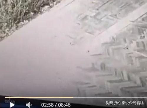 窗外吃瓜视频完整版,揭秘娱乐圈幕后真相