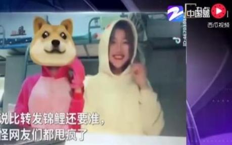 抖音狗头视频吃瓜,揭秘网络热梗背后的趣味与思考