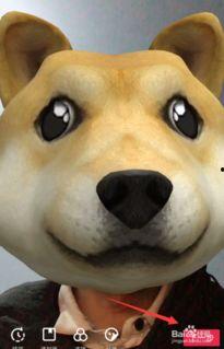 抖音狗头视频吃瓜,揭秘网络热梗背后的趣味与思考