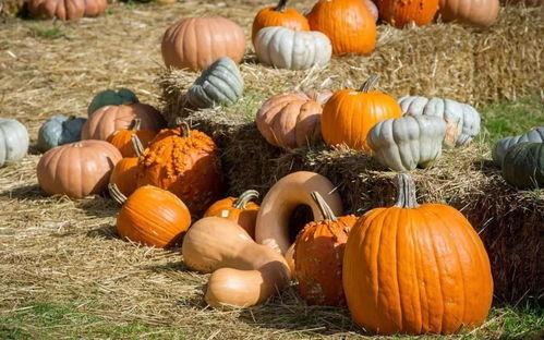 福建群众吃瓜视频,街头热辣现场直击