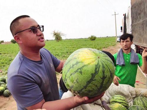 装人吃瓜视频大全,装人吃瓜视频大全，笑料百出，欢乐无限！