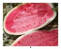 天总视频吃瓜,揭秘娱乐圈幕后真相