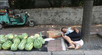 砀山县吃瓜事件视频,一场引发热议的网络视频风波