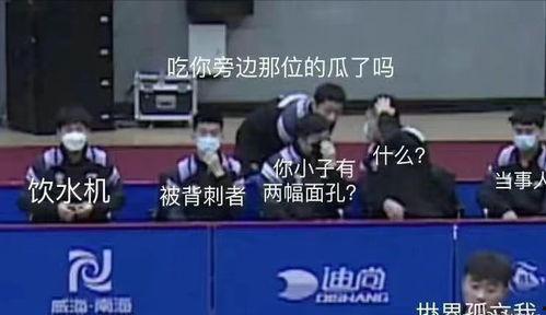 男乒集体上线吃瓜视频,揭秘赛场背后的欢乐时光