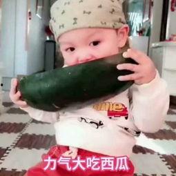 小宝贝吃瓜歌曲视频播放,欢乐无限，视频播放量飙升！