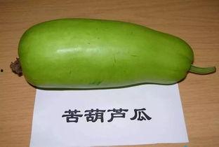 吃葫芦蜜瓜视频,一窥视频中的甜蜜瞬间