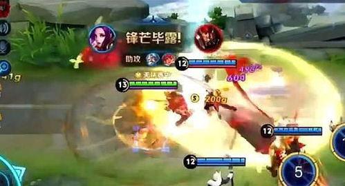 疯狗典韦吃瓜事件视频,一场网络狂欢背后的真相揭秘