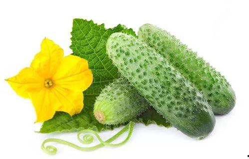 吃瓜不怕酸的视频素材