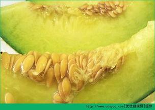 孕妇吃哈密瓜视频,孕妇吃哈密瓜的温馨瞬间