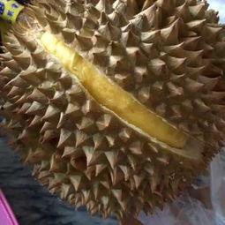 长籽嫩瓜怎么吃最好吃视频