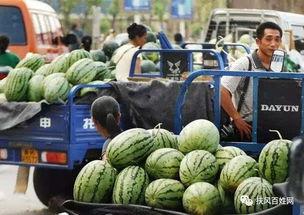 开平东汇城吃瓜事件视频,一场引发热议的街头冲突