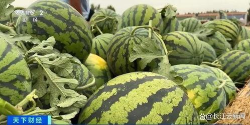 菏泽销售吃瓜事件视频,一瓜引发的网络风波