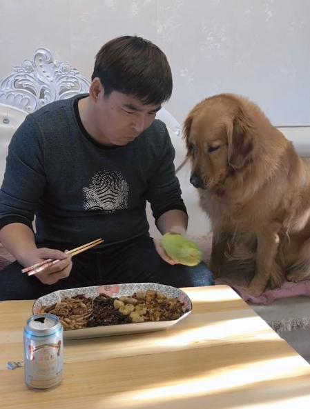 主人吃瓜狗吃瓜皮视频大全,主人狗子共享吃瓜乐趣，视频大全笑料百出