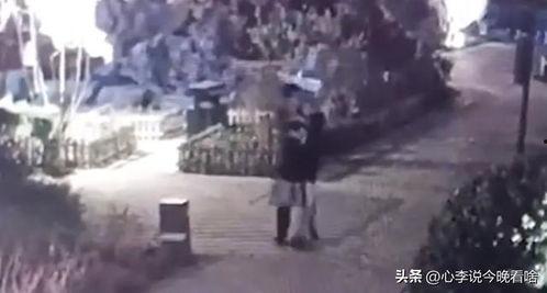 阜南吃瓜事件视频,一场引发热议的网络风波