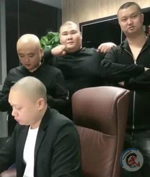 吃瓜群众刘二狗视频,揭秘娱乐圈幕后真相