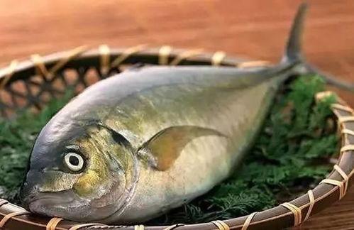 买鱼吃瓜的视频播放,揭秘热门视频背后的观看热潮