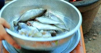 买鱼吃瓜的视频播放,揭秘热门视频背后的观看热潮