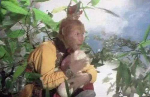 悟空吃佛手瓜视频,趣味烹饪大揭秘！