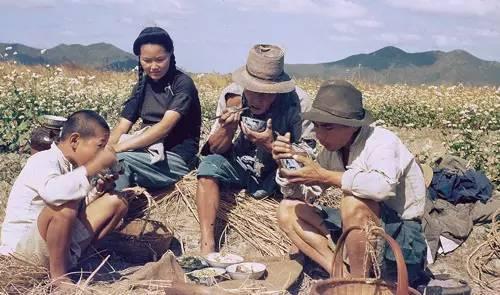 农民爷爷吃瓜视频,欢乐瞬间引网友热议