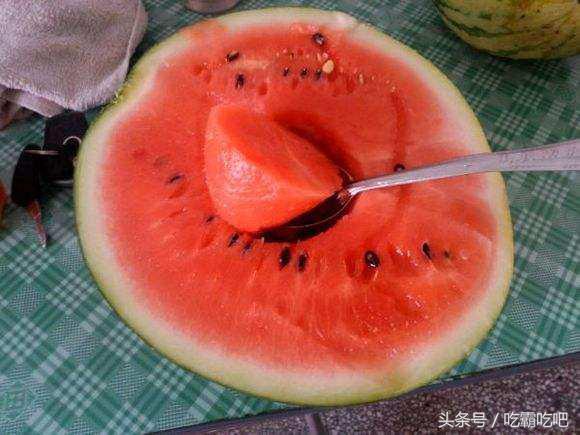 日本人吃中国沙白瓜视频,中国沙白瓜，口感独特，美味诱人！