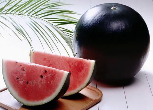 日本人吃中国沙白瓜视频,中国沙白瓜，口感独特，美味诱人！