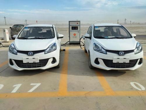 奔奔直播吃瓜视频大全