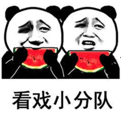 八卦吃瓜表情视频合集大全,趣味横生的视觉盛宴