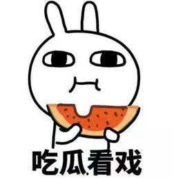 摸头吃瓜的视频大全图片,盘点热门视频大全瞬间