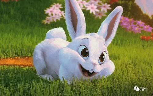 兔子可以吃羊瓜嘛视频教程,兔子适宜食用羊瓜的详细解析与教程