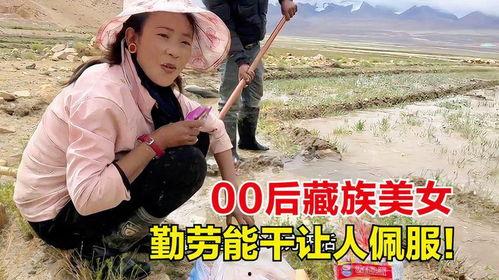 藏族吃瓜事件网红视频播放,网红视频引发全网热议