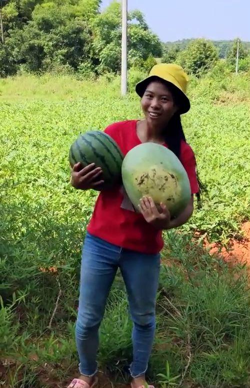 姑娘去摘西瓜吃瓜视频播放,姑娘摘瓜吃瓜视频走红网络