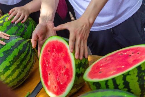 南京大学吃瓜视频