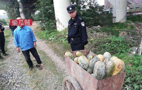 砀山县吃瓜事件真相视频,揭秘背后真相与争议