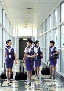 空姐厦航吃瓜视频,揭秘空中服务员的日常生活瞬间