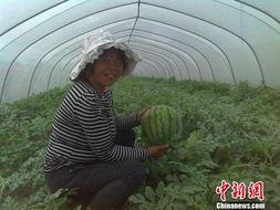 江苏泰州欺凌吃瓜视频,吃瓜视频揭露惊人一幕