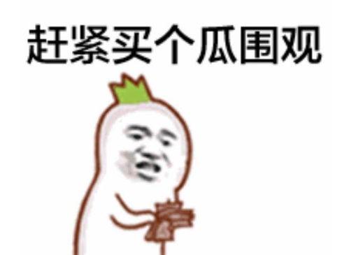 凉凉吃瓜群众直播视频在线观看,凉凉吃瓜群众带你领略网络直播魅力