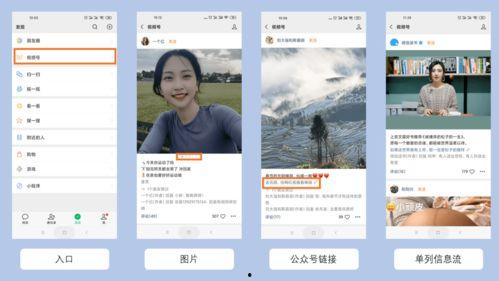 快手五个视频吃瓜,揭秘网络热点背后的真相