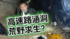 守护解放西吃瓜原视频,吃瓜群众视角下的原视频解析